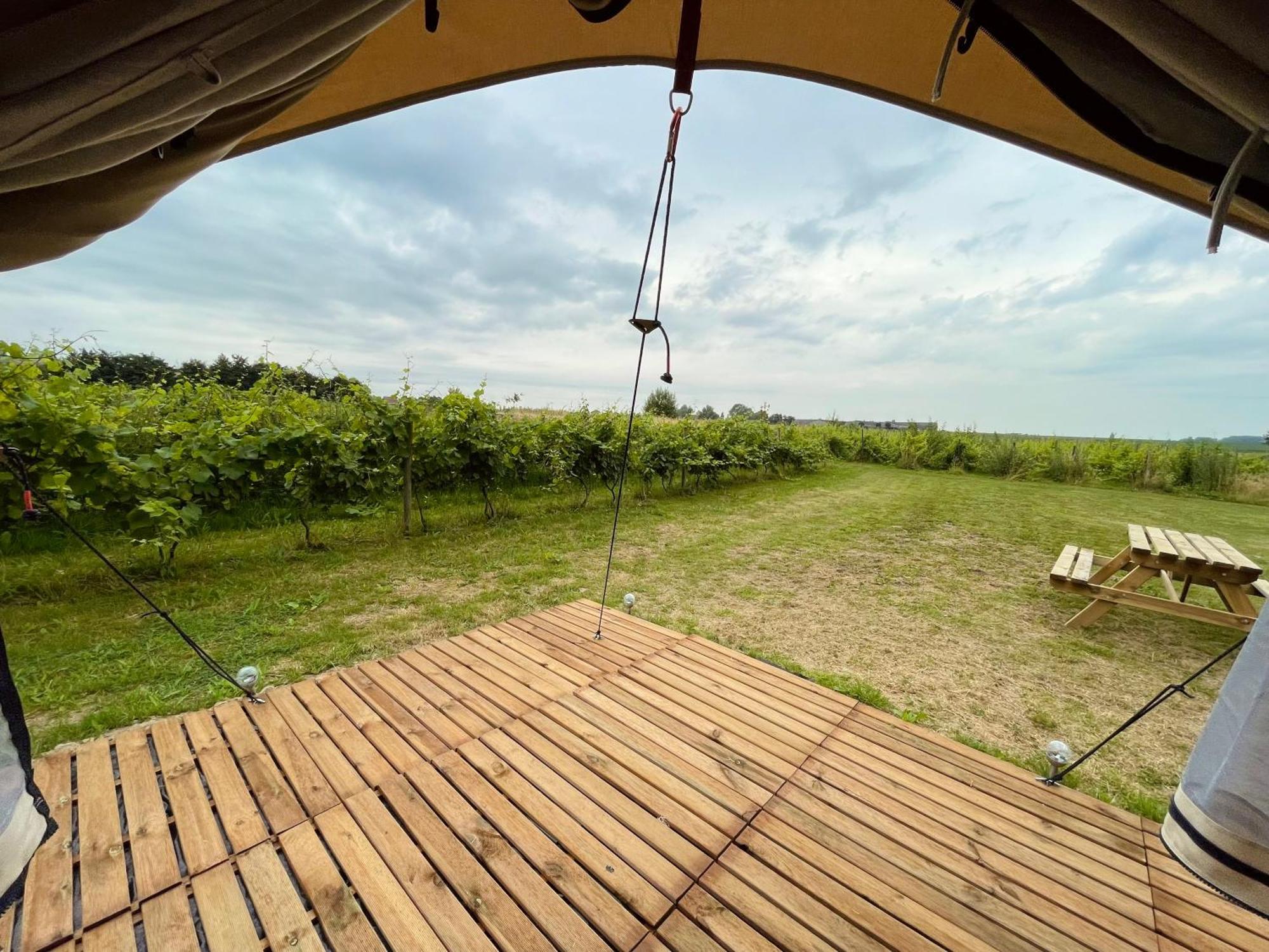 B&B 'T Zwaluwnest Хёвелланд Номер фото
